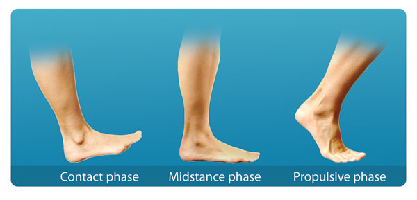 the walking company foot analysis